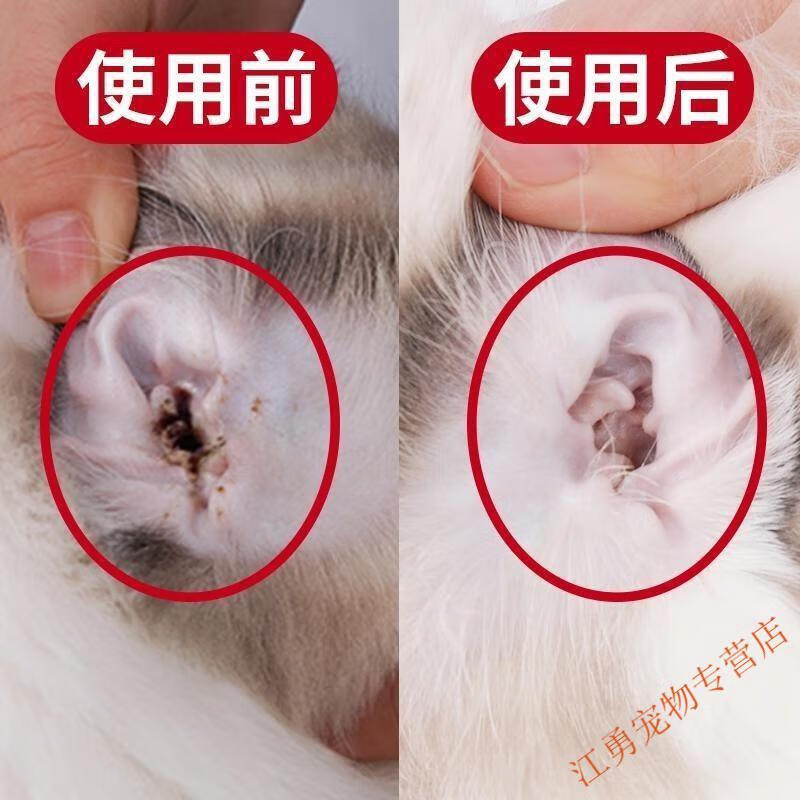 猫咪除耳螨猫咪洗耳粉狗狗耳粉狗狗去耳螨狗狗洗耳朵宠物洗耳粉单瓶装