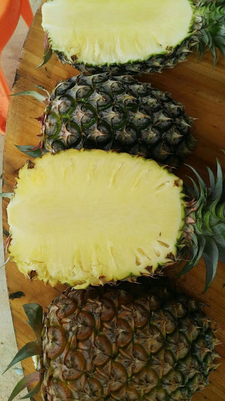 素界 海南凤梨金钻甜蜜蜜树上熟超甜保甜无酸不涩口眼小自然熟凤梨