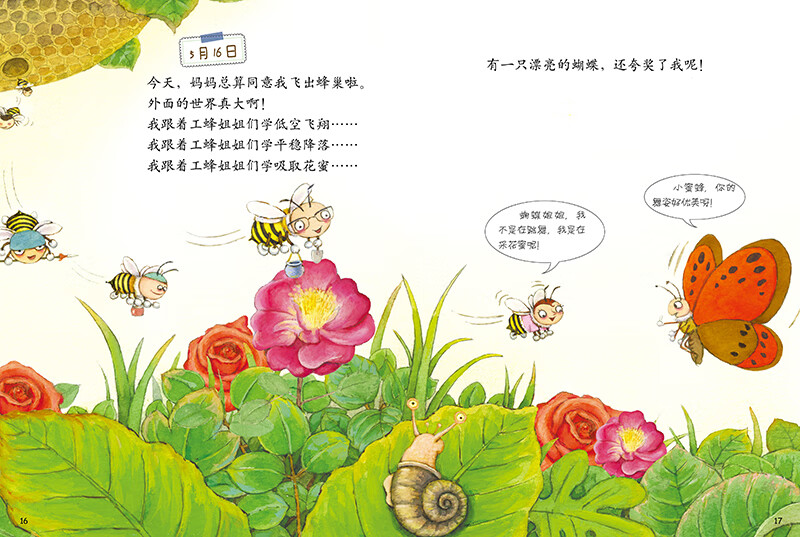 包邮蜜蜂的日记绘本精装硬壳一年级小学生趣味自然科普儿童图画书我的