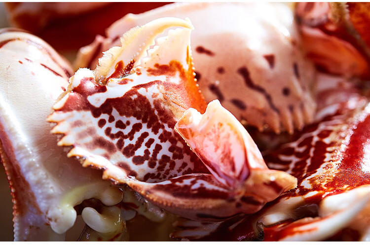 品三江 即食醉虎纹发财蟹钳600g 醉蟹钳发财蟹钳老虎蟹钳 酱蟹【图片