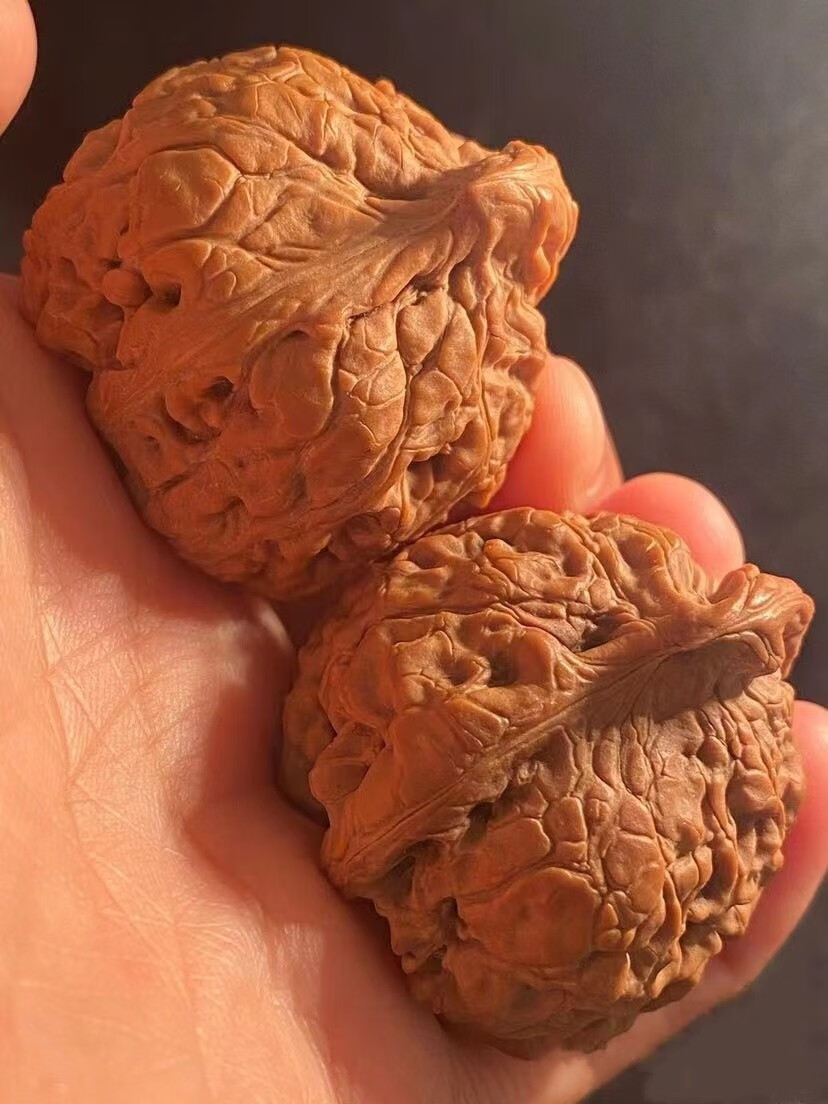 展缘 野生文玩核桃鹰嘴核桃异形核桃收藏级核桃把玩四棱眼镜蛇核桃