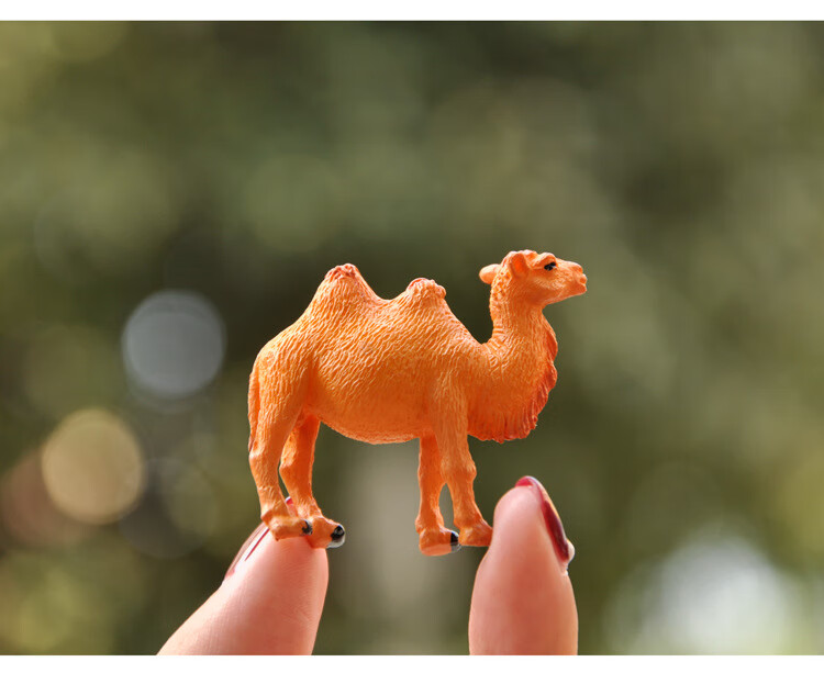 骆驼玩偶摆件沙漠之舟仿真动物模型玩具迷你桌面蛋糕微景观装饰品骆驼