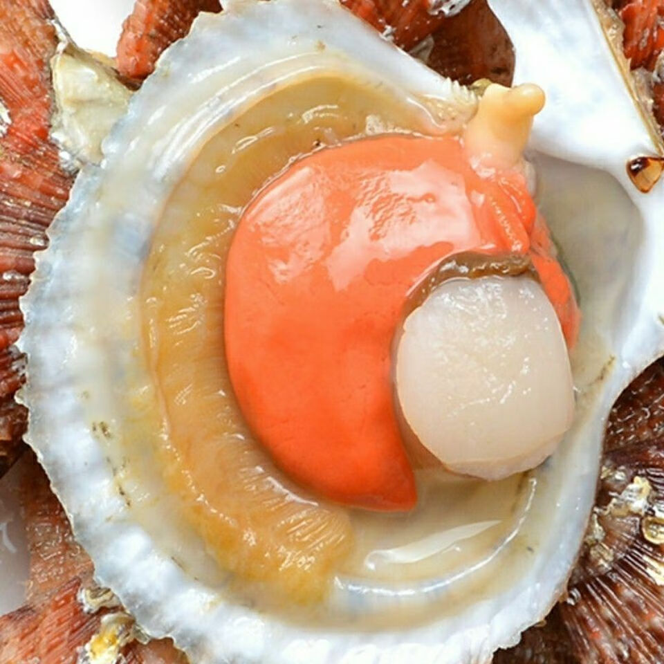 姬禄福扇贝鲜活带壳夏威夷贝大港湾贝特大扇贝新鲜蒜蓉粉丝扇贝肉五斤