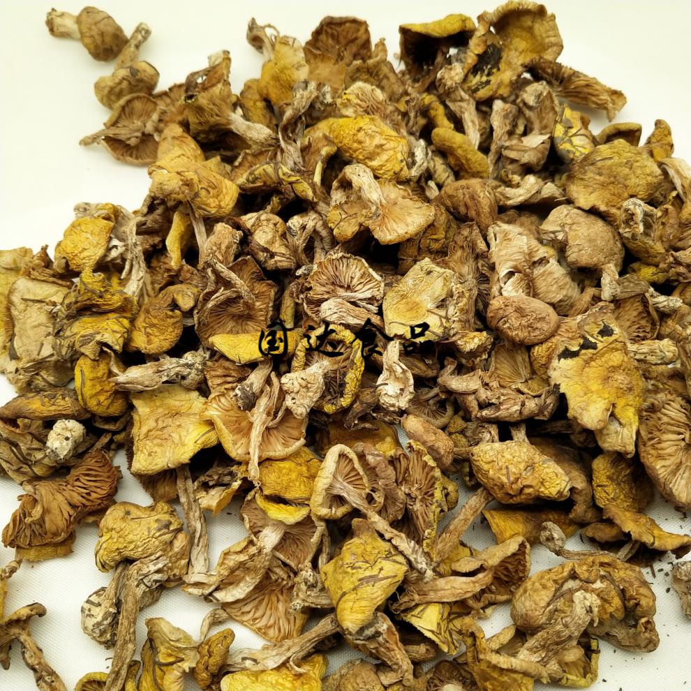 5折东北小黄蘑干货黄油蘑小鸡炖蘑菇蘑菇250