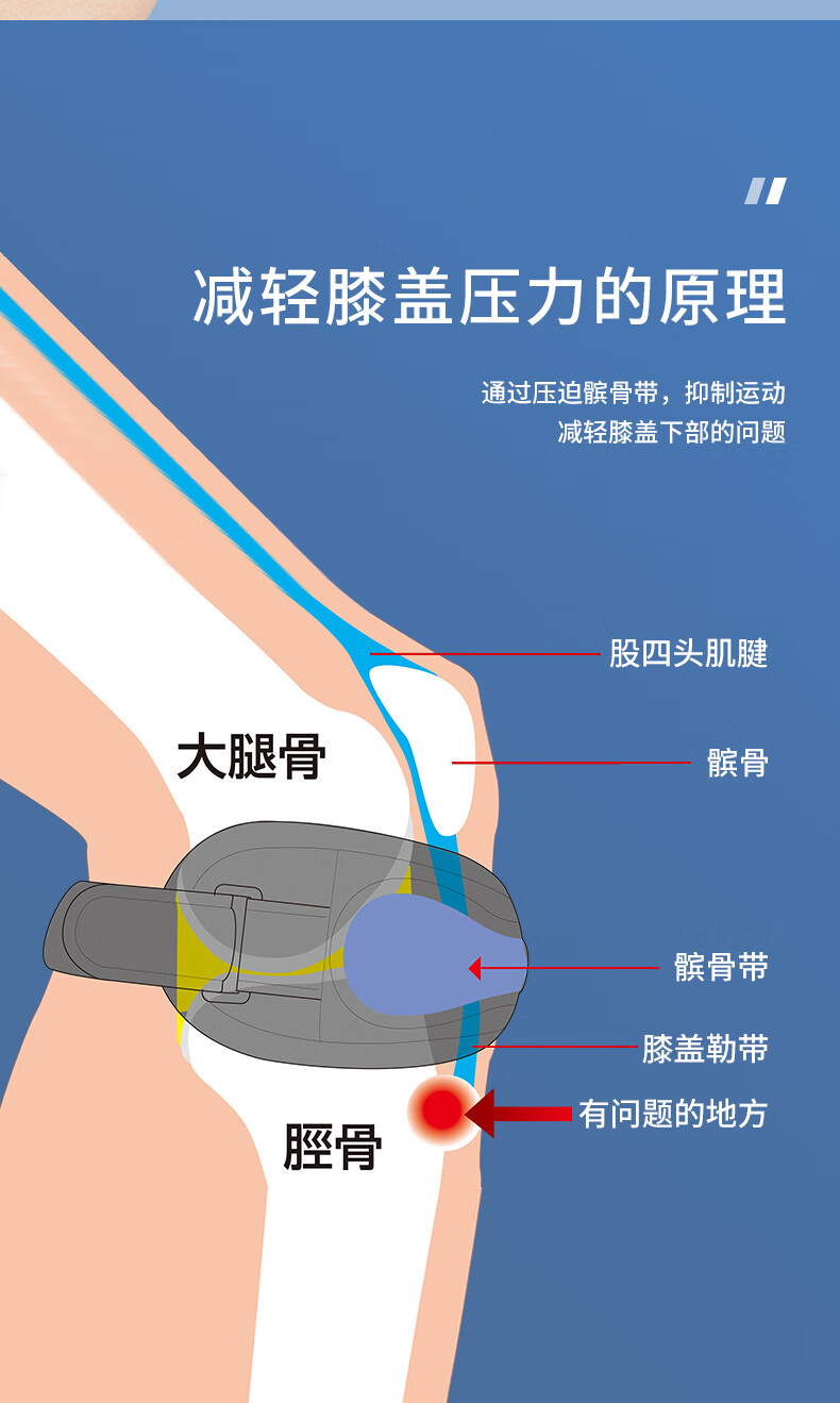 日本專業臏骨保護帶專業髕骨保護帶軟化穩定護膝半月板髕骨帶固定器