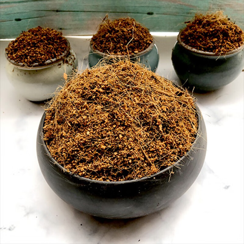 君子兰专用土盆栽营养土弱酸性沙质家用透气室内花泥碳土有机肥料