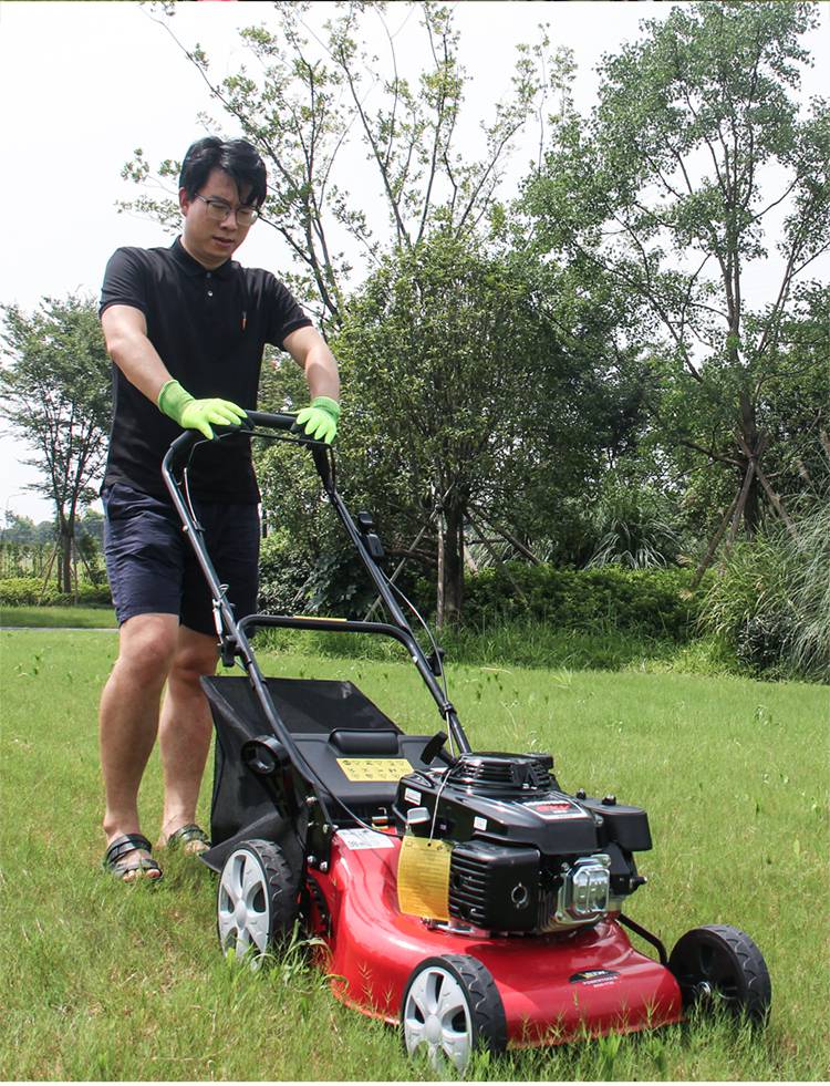 割草机汽油机手推式 手推式汽油草坪修剪机自走式推草机草坪除草打草