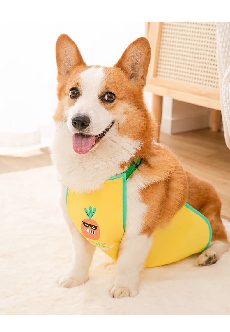 狗狗肚兜夏季 柯基犬肚兜升级版宠物护肚子衣服狗狗防水雨衣防脏防