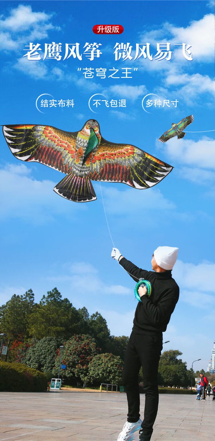 2022新款2022年新款式老鹰风筝大人专用儿童微风易飞成人大型网红风筝