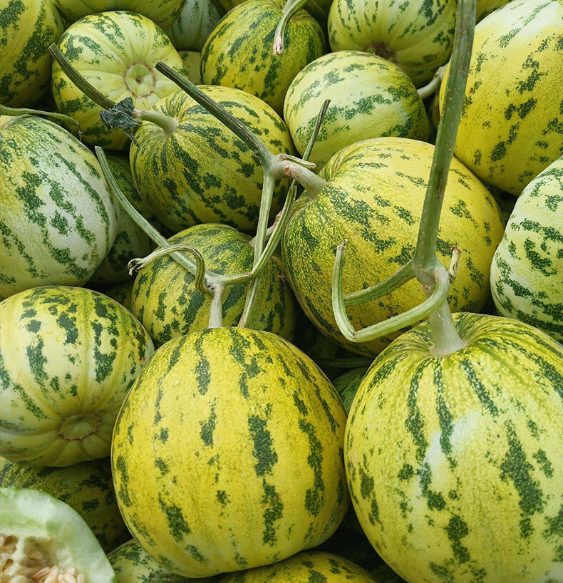 八里香甜瓜花蕾甜瓜超甜新鲜现摘应季水果整箱甜香2斤尝鲜装