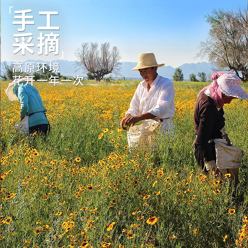 新疆昆仑山雪菊天山高寒红菊花茶特级野生胎菊王养生茶叶家庭装3罐买2