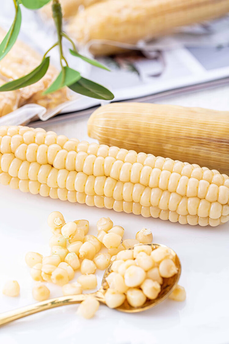 云南西双版纳香甜糯拇指小玉米儿童新鲜现摘有机真空包装 1000g【图片