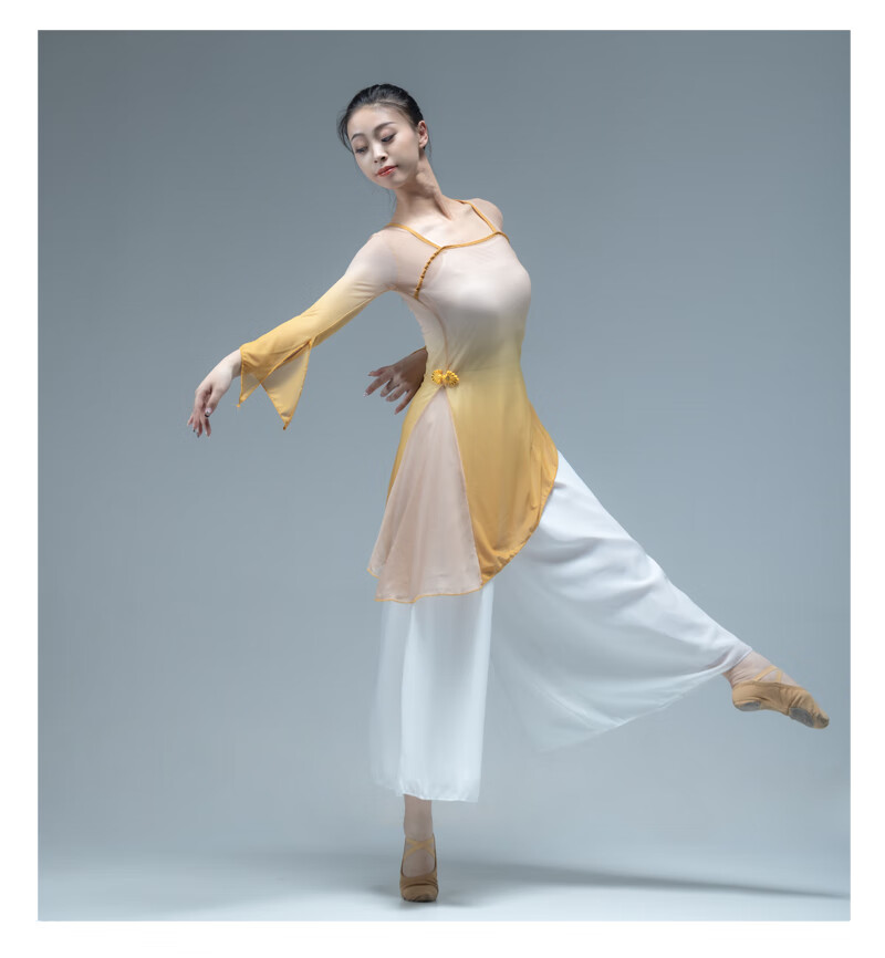 古典舞服身韵纱衣秋冬女飘逸中国舞蹈演出练功服基训服敦煌民族舞砖红