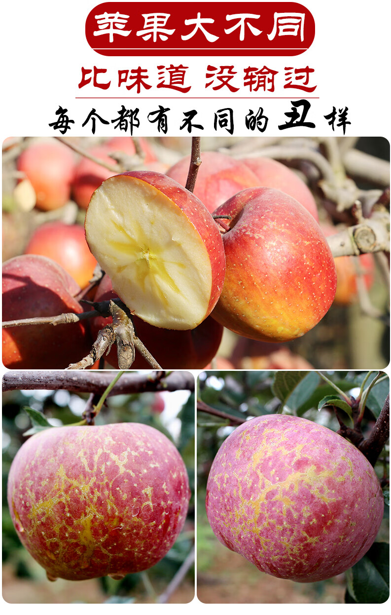 云南昭通丑苹果冰糖心新鲜水果当季整箱z1500g