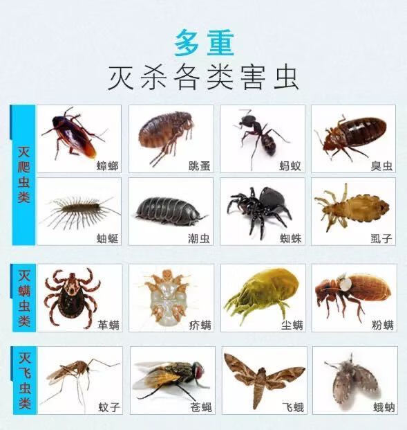 卫生间杀虫剂家用除小黑虫蛾蠓潮虫厕所下水道灭飞虫