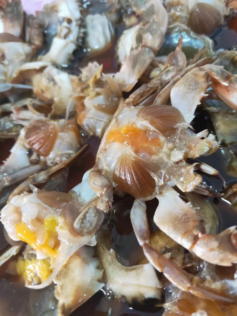 全母花盖蟹带黄500g新鲜活腌制盐卤生腌螃蟹咸蟹呛蟹丹东海鲜500g3袋