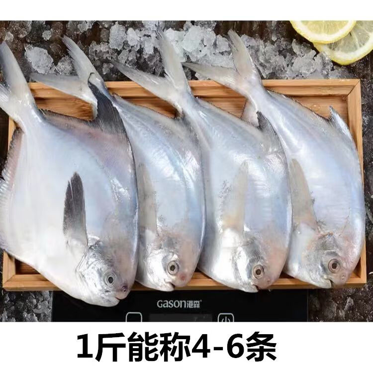 冷冻海鱼种类图片鱼名图片