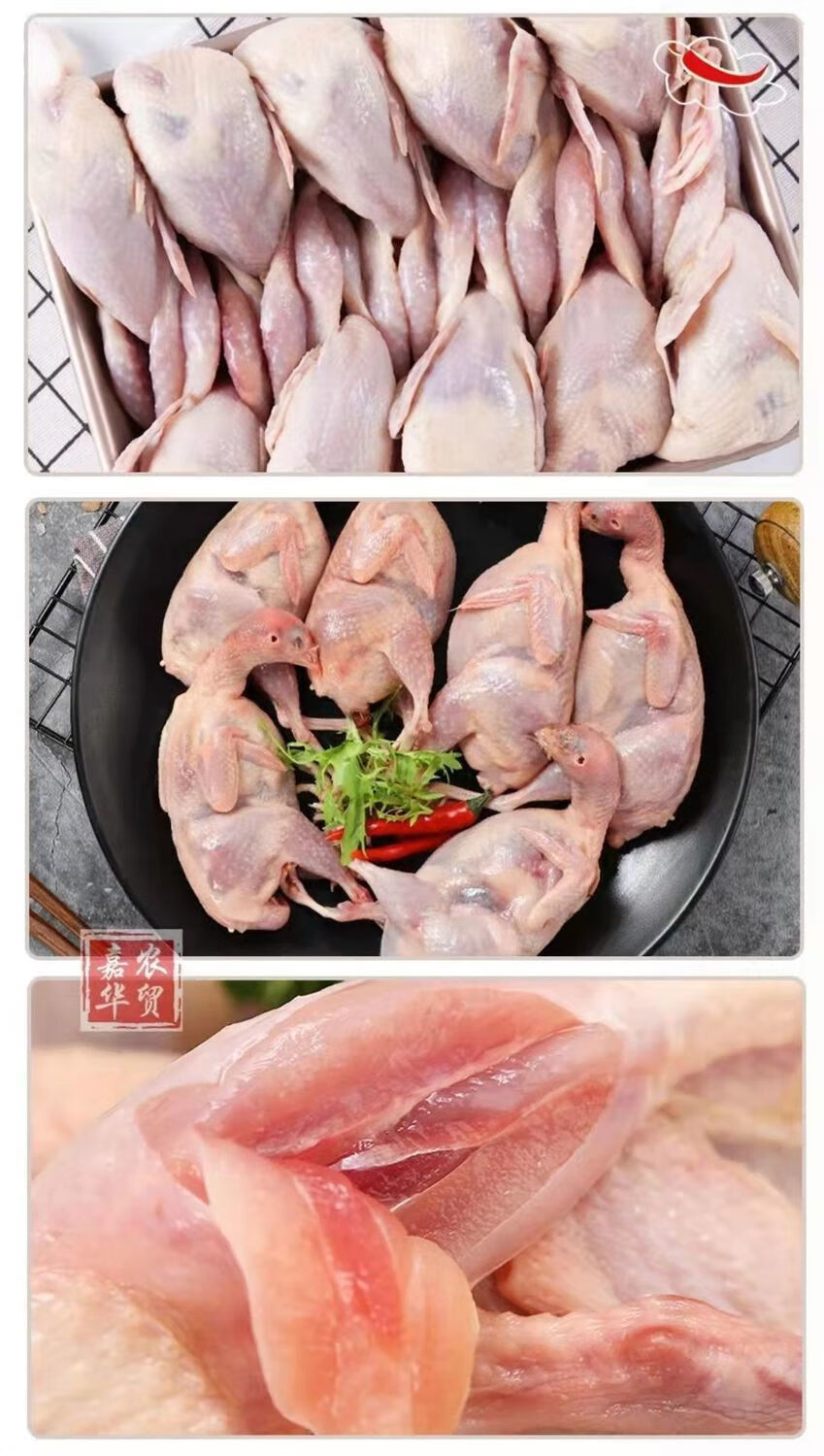 母鹌鹑大新鲜现杀冻干速冻白条农家散养乳鸽烧烤油炸炖汤批发蜜鲜湾现