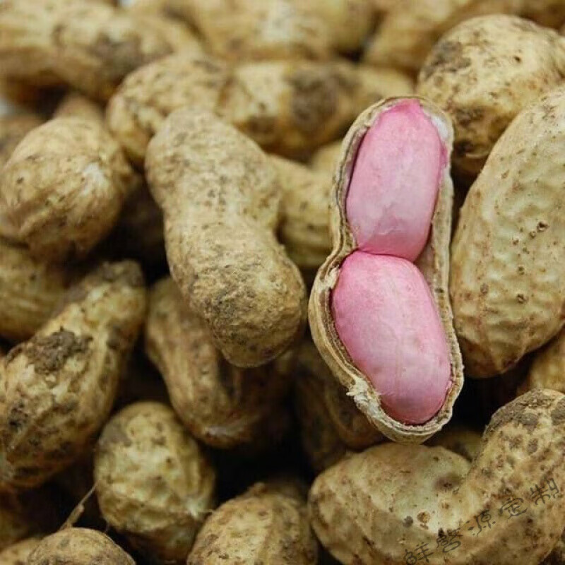 新鲜现挖花生米农家自种个大饱满花生带壳花生粉红新挖鲜花生1斤精选