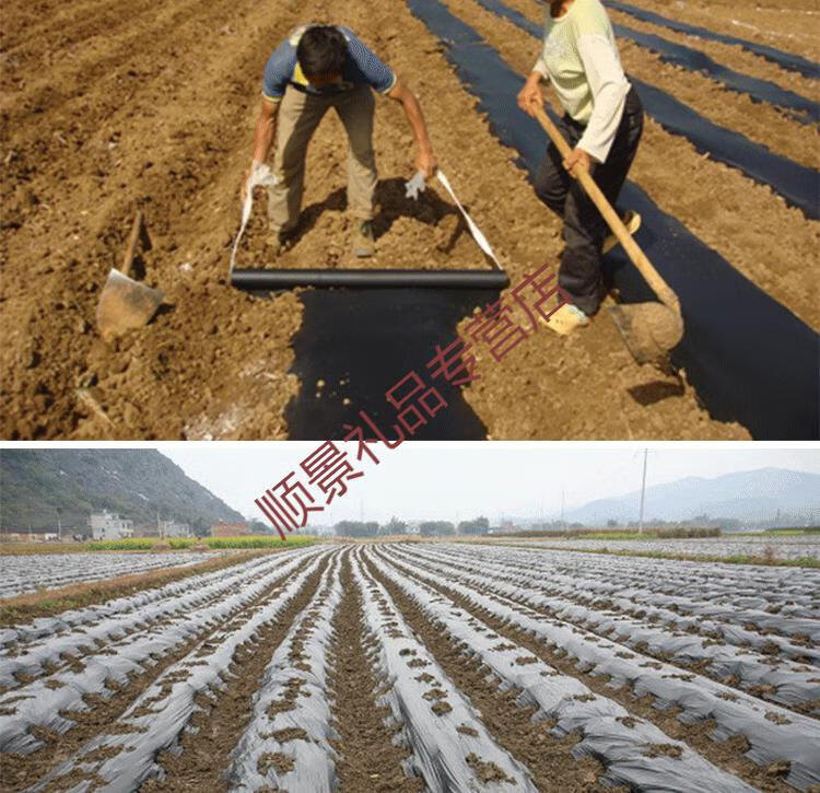 农用黑地膜白地膜银黑地膜双色地膜草莓果园加厚除草膜白色透明塑料膜