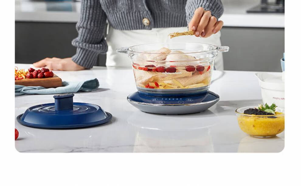 摩飞(morphyrichards)养生锅电炖锅家用多功能电炖盅锅煲汤锅煲粥煮粥