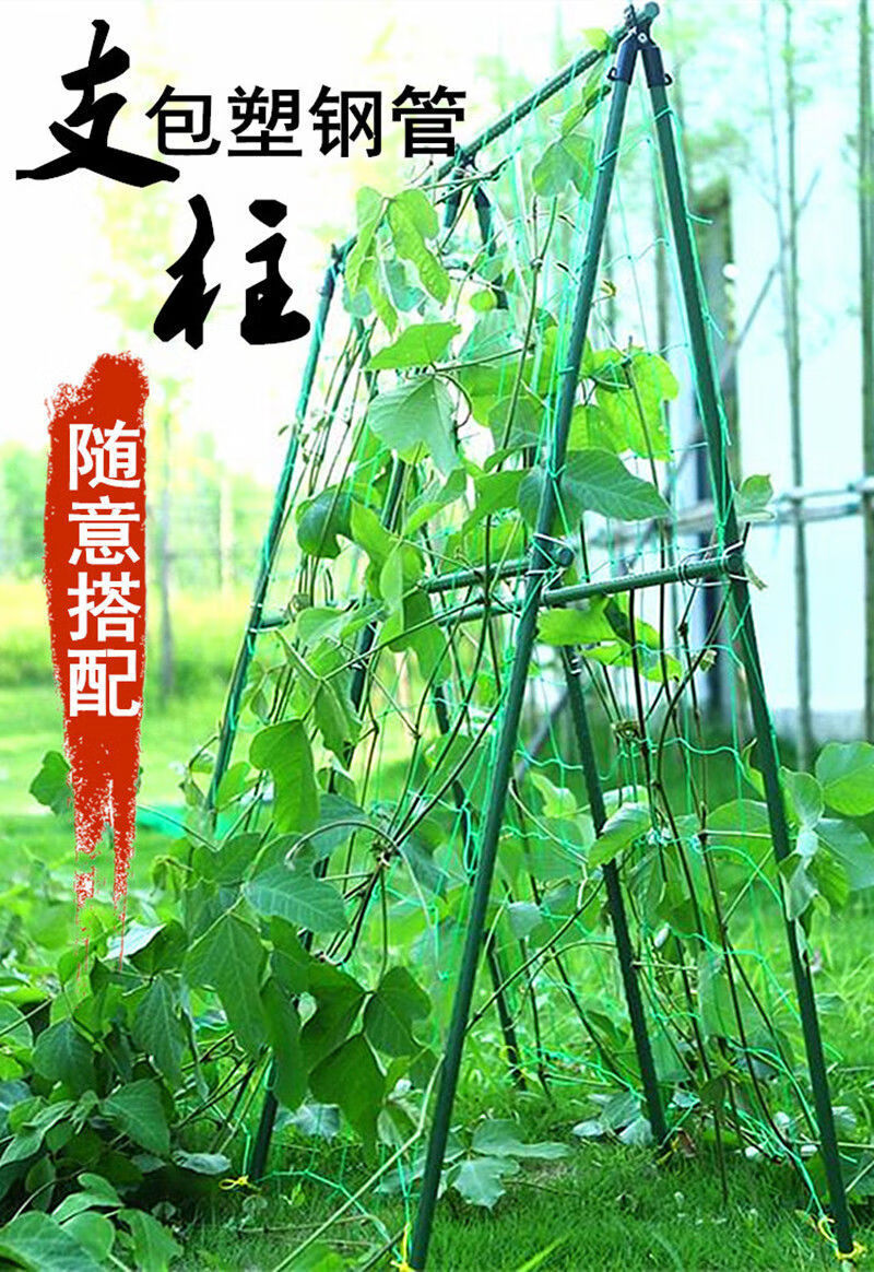 花杆爬藤花架包塑钢管支撑杆园艺支架庭院葡萄月季花卉支柱番茄架子
