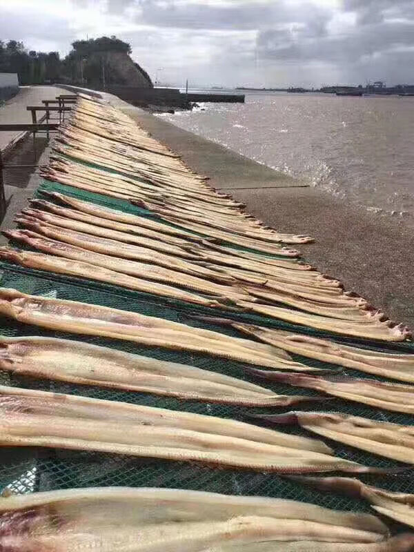 舟山沙鳗鲞油鳗干船晒六成干沙鳗整条鳗鱼肉特产海鲜干货小沙鳗500克