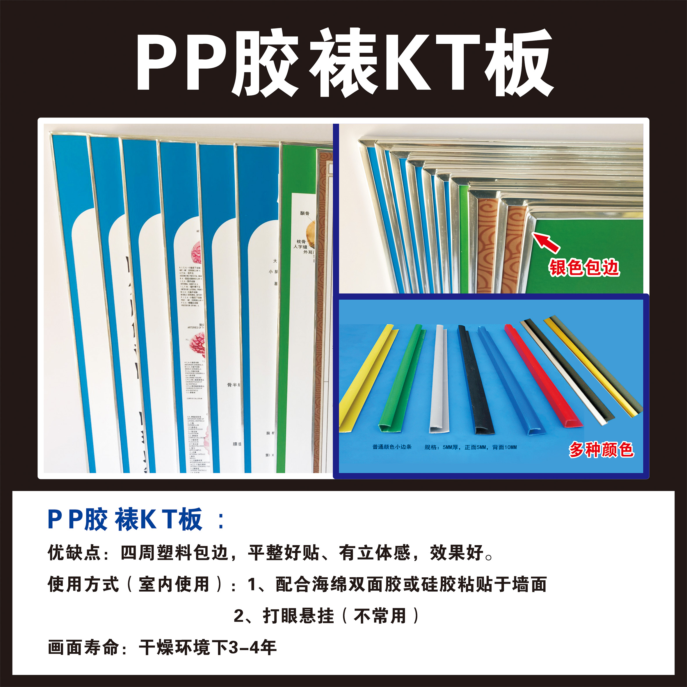 男性泌尿生殖解剖学挂图 男性生殖解剖图 相纸(厚/背面无胶) 60*90