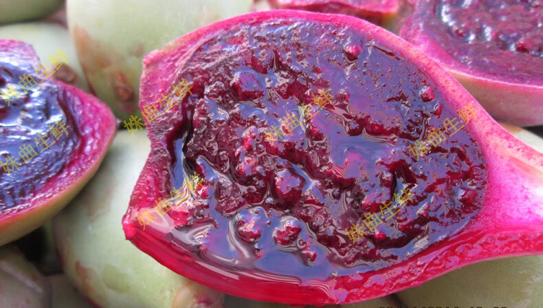 海南仙人掌果 新鲜绿皮红心 当季热带水果 2000g【图片 价格 品牌