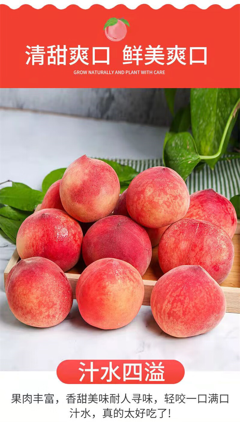 顺丰河北春雪水蜜桃水果新鲜桃子应季5斤大果整箱顺丰3斤大果精品优选