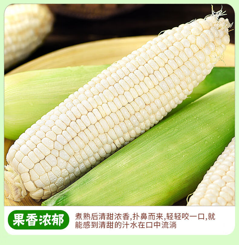 云南牛奶白糯玉米新鲜应当季现摘苞谷水果爆浆甜嫩白玉米棒整箱精选3