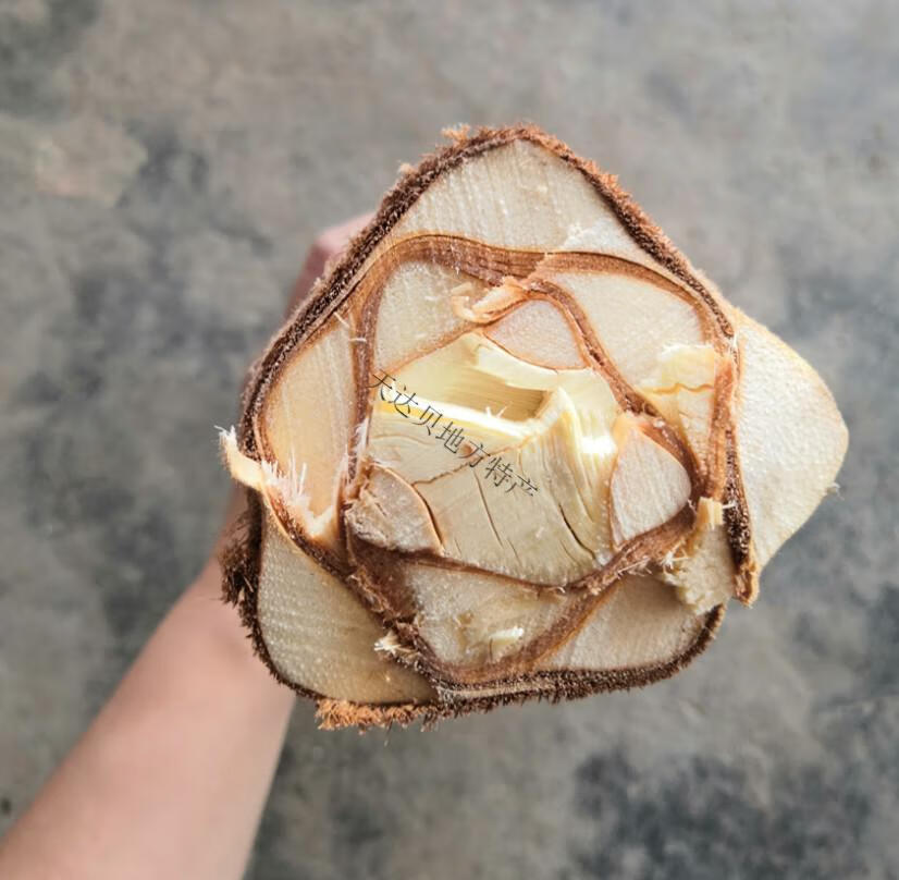 棕榈芯 现砍新鲜甜棕树心棕树尖棕榈芯棕树头棕榈心棕榈树树心 1500g