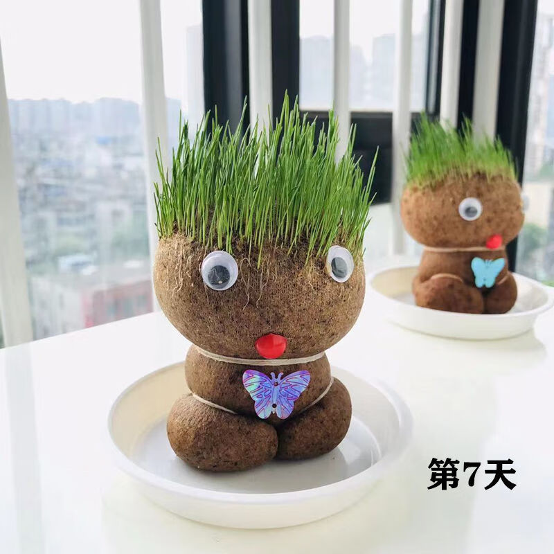 精品绿植diy办公室迷你植物绿色青草铜钱草桌面小盆栽草头娃娃情思草