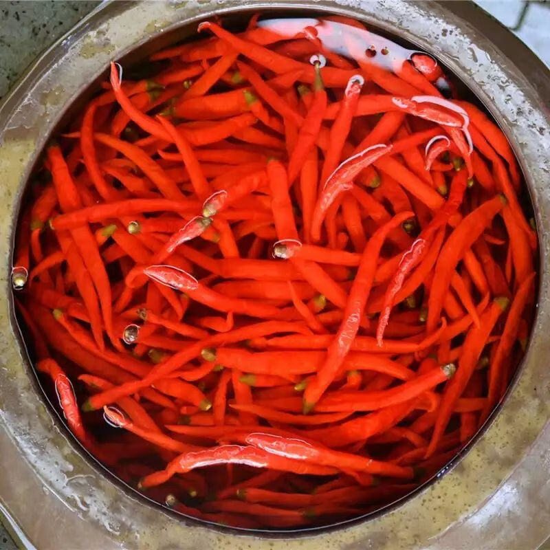 四川泡椒腌制泡辣椒海椒老坛泡红辣椒农家自制泡椒二荆条 500g坛装