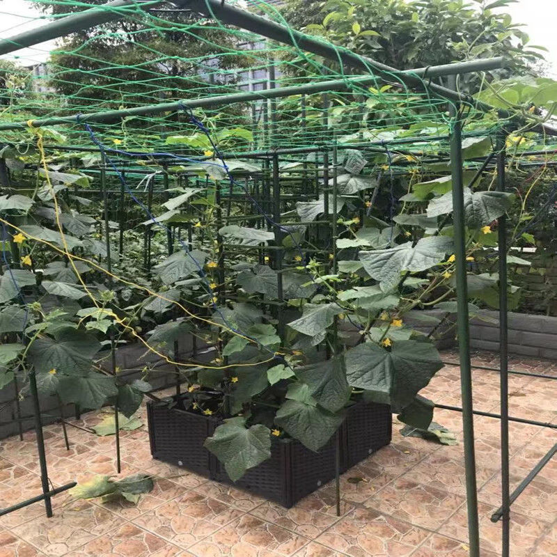 葡萄架户外庭院葫芦百香果火龙果黄瓜豆角西红柿阳台花植物攀爬架 送