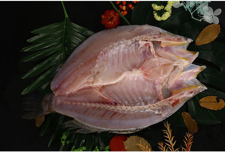 广纳力驰 游龙斑新鲜鱼尖吻鲈金目鲈少骨鱼开背