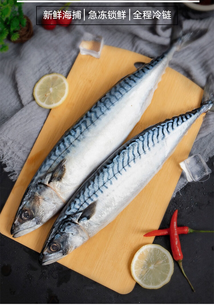 新鲜鲐鲅鱼 整条海鲜活冷冻 5斤青占鱼燕鱼青花鱼