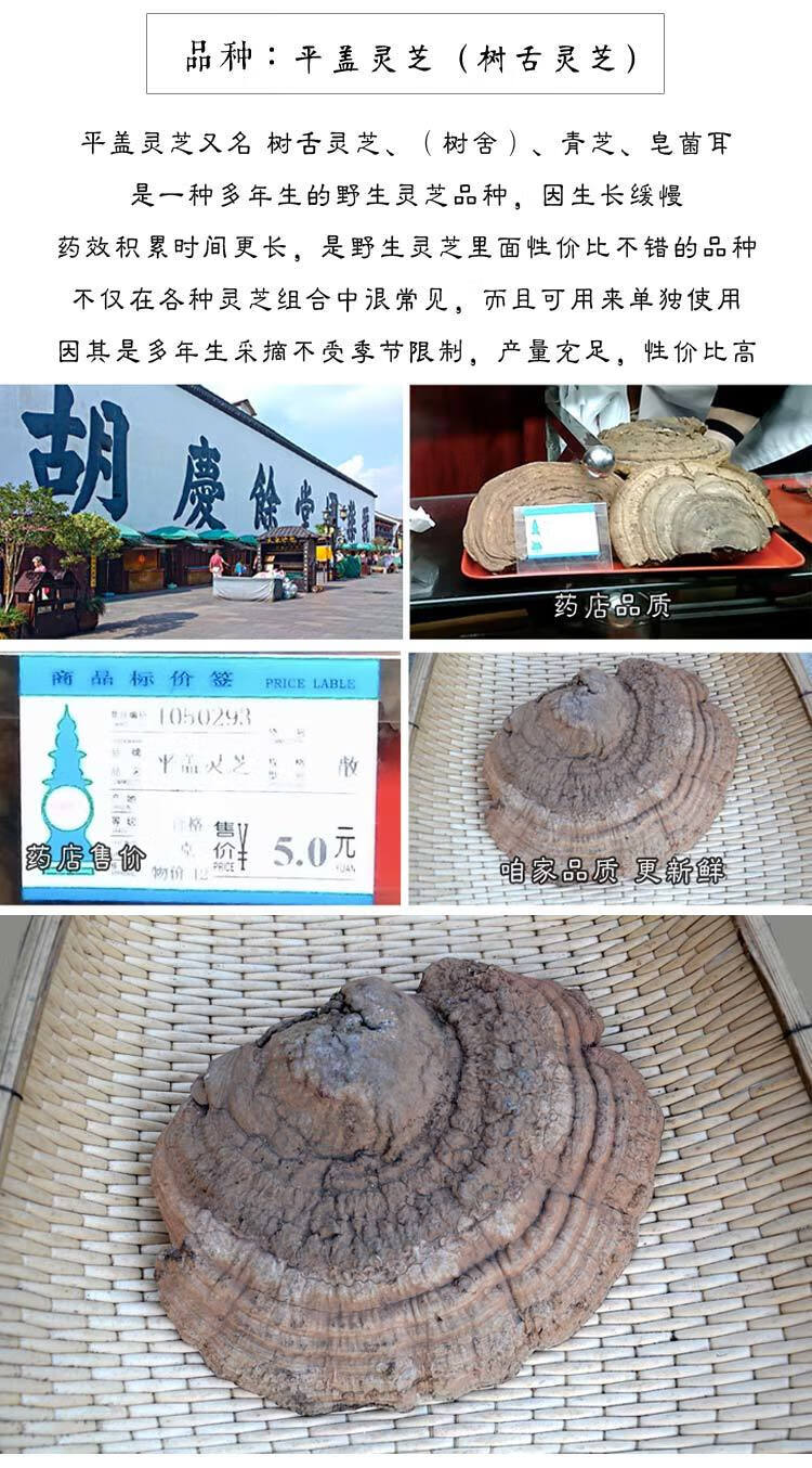 野生灵芝正宗天然野生灵芝平盖灵芝树舌青芝海南原始森林采摘海南厚手