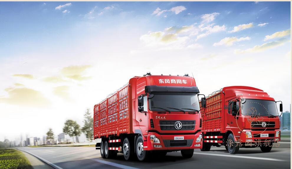 东风天龙大力神天锦汽车后尾灯支架牵引车半挂车拖头车牌照架子 ①号