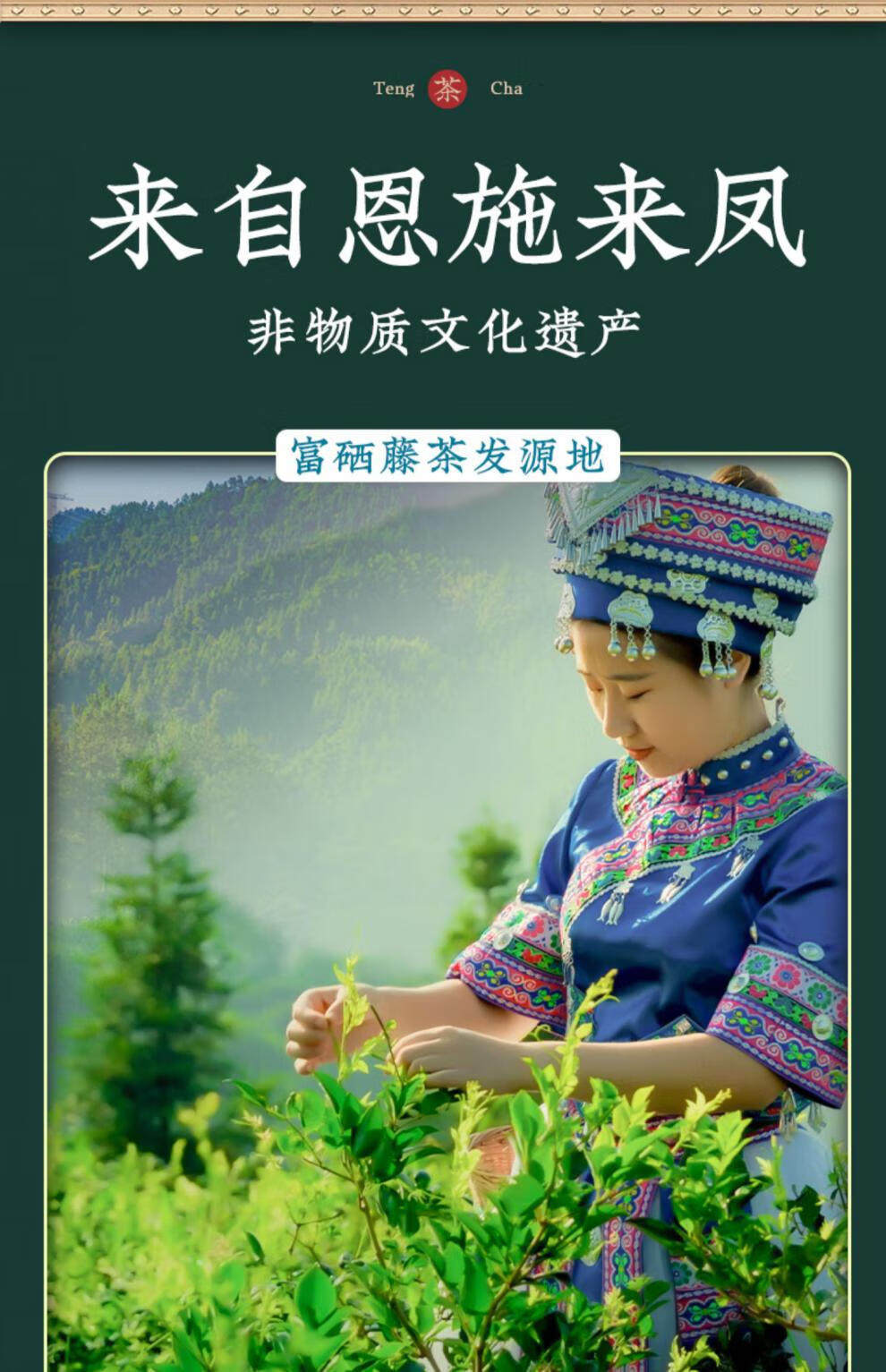 藤茶恩施500g土家莓茶富硒霉茶龙须嫩芽尖腾茶 龙须牙尖藤茶60克罐装