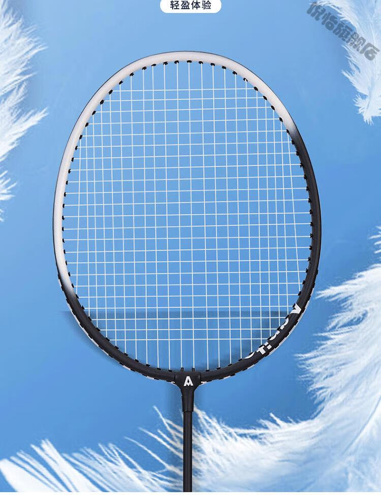 安格耐特羽毛球得力安格耐特f2124铝合金分体羽毛球拍双拍超轻防滑