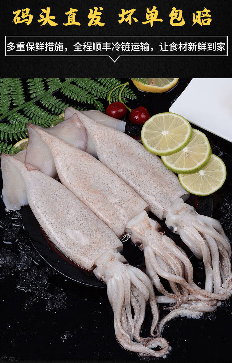 特大鱿鱼鲜活深海捕冷冻水产新鲜大鱿鱼尤鱼整条烧烤批发5斤优选大号