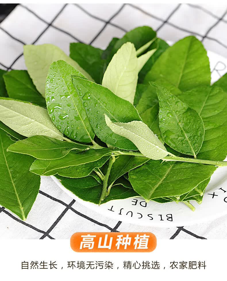 新鲜柠檬叶带枝烹饪香料青柠叶西餐料理冬阴功汤调料火锅配料新鲜柠檬