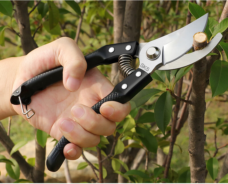 盆栽植物树枝修剪剪刀园艺家用做盆景制作用的工具花卉修枝剪盘景包胶