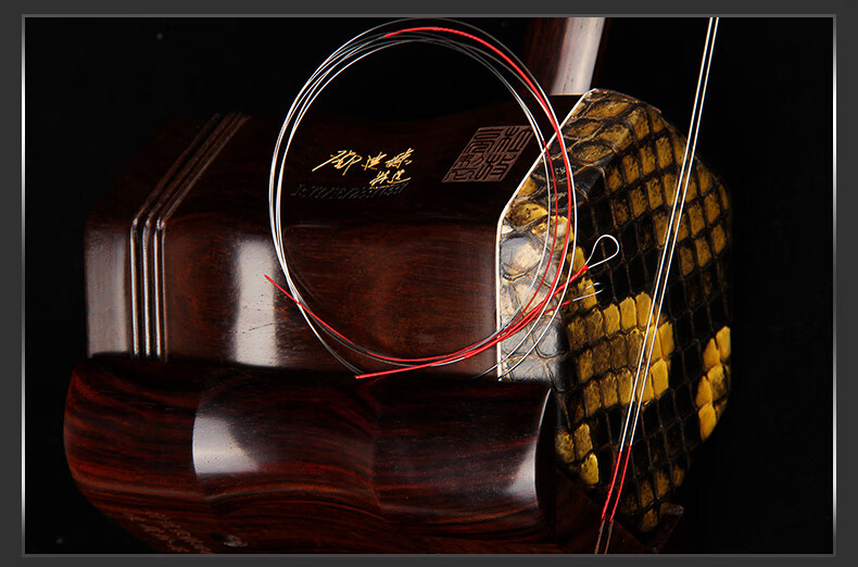 ltt二胡琴弦演奏家级内外弦两根套装演奏二胡弦乐器配件 大师级琴弦 p