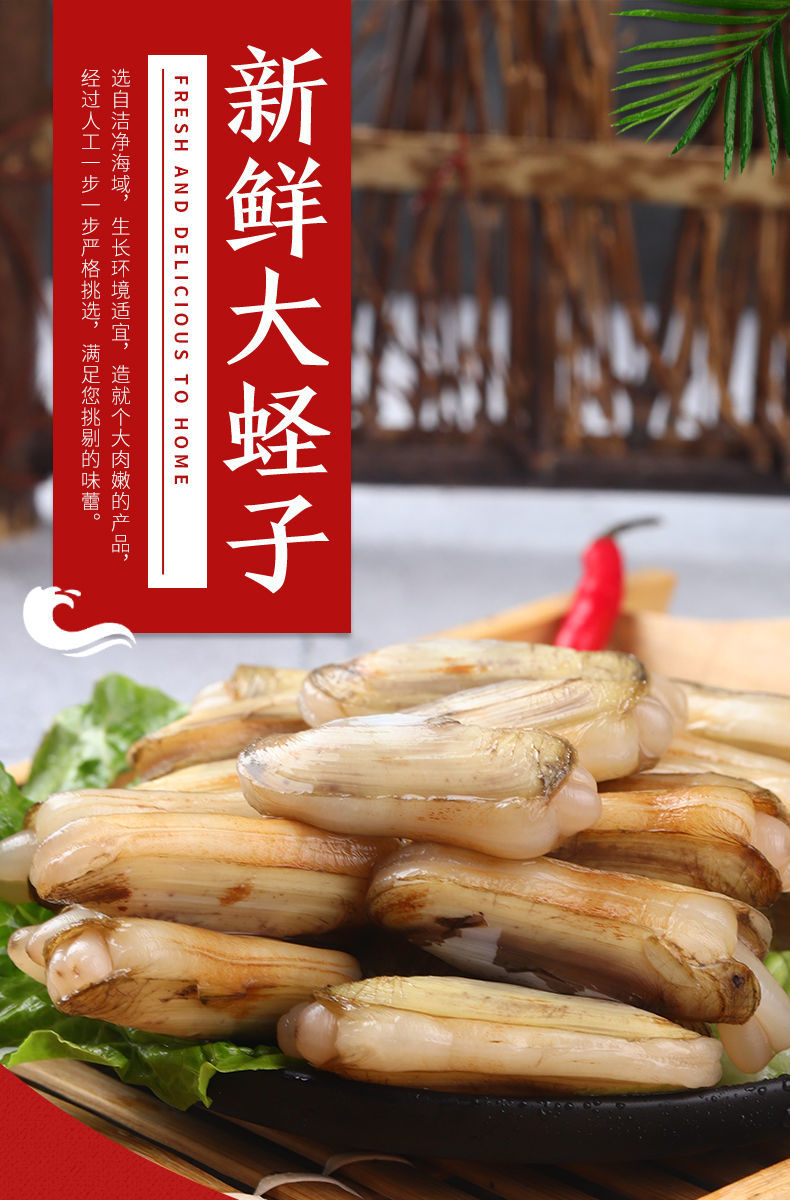 鲜活蛏王海蛏新鲜纯野生海鲜天然无污染大蛏竹节蛏笔杆蛏鲜活蛏子海水