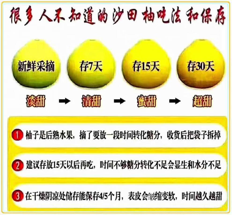 长寿果的功效与作用图片