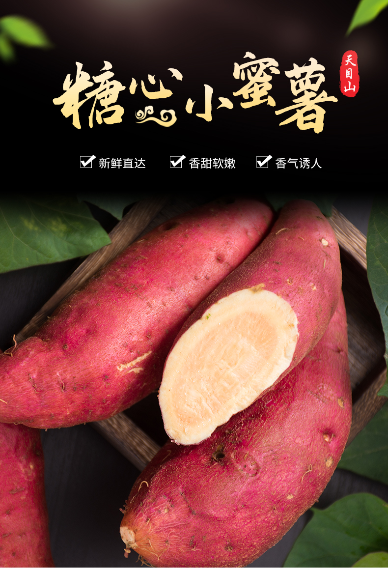 新鲜小番薯临安天目山小香薯黄心地瓜板栗红薯农家自种山芋5斤10 5斤