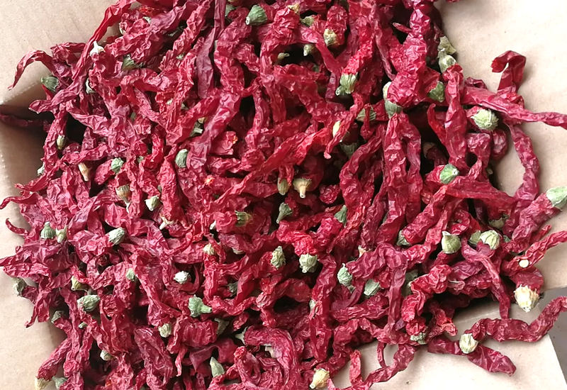 陕西秦椒500g香而不辣兴平特产农家皱皮红线椒秦椒微辣特香辣角