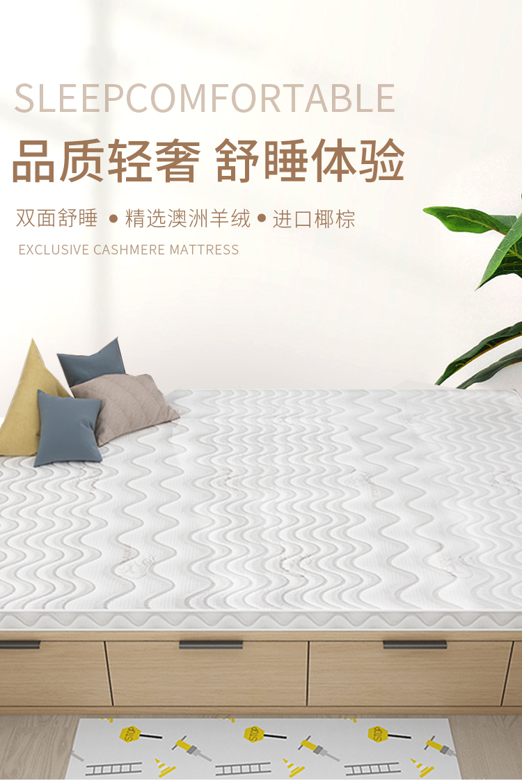 能见度 榻榻米床垫子可折叠定做椰棕订做踏踏米棕榈家用塌塌米垫定制尺寸 10CM厚冬夏两用 1000*2000